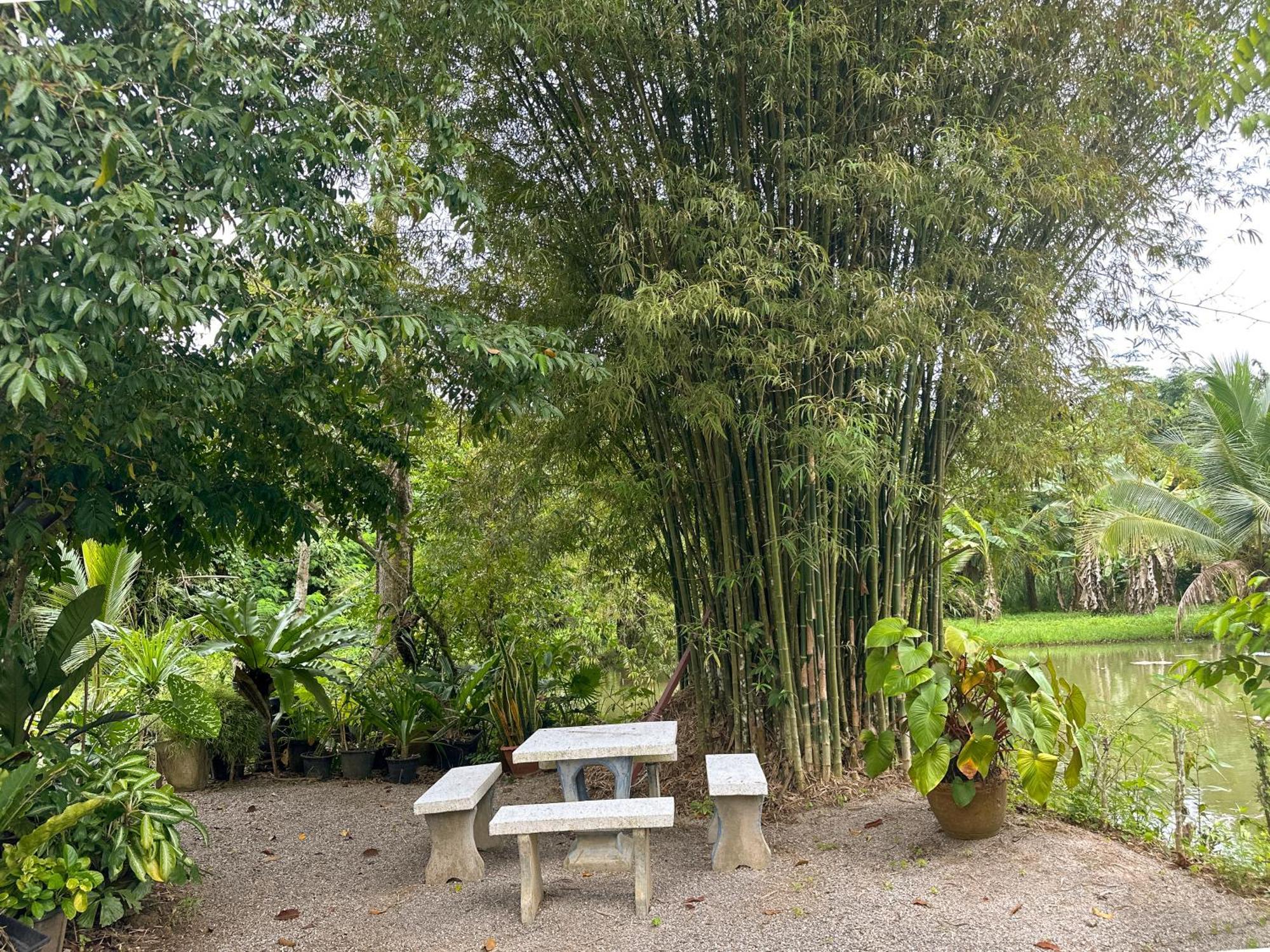 Baan Panmala Guesthouse - Ao Luek, 끄라비 외부 사진